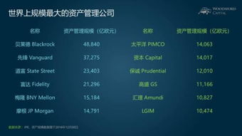 小烏龜學(xué)投資系列七 撥開迷霧，慧眼識珠——如何比較與區(qū)分海外股權(quán)投資機(jī)構(gòu)